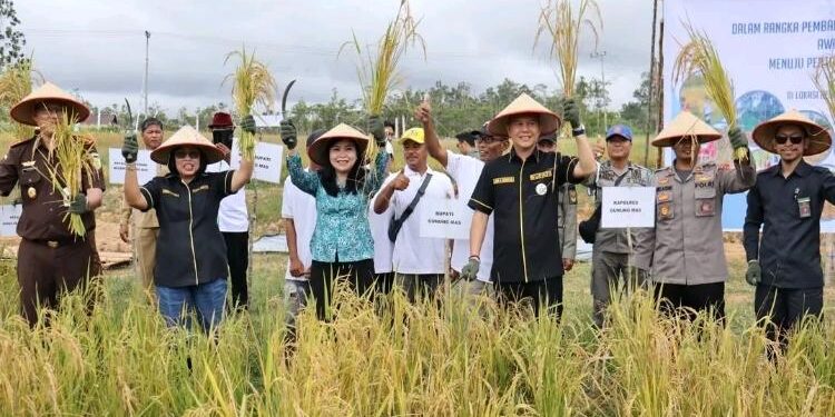 FOTO : DISKOMINFO SANTIK/MATA KALTENG - Bupati Gumas Jaya Samaya Monong bersama Wakil Bupati Efrensia LP Umbing, dan Ketua TP-PKK Mimie Mariatie Jaya Samaya Monong, ketika menghadiri kegiatan panen padi, belum lama ini.