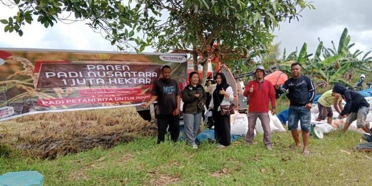 FOTO: IST/MATA KALTENG - Suasana saat panen padi Poktan Mahang Mandiri, Kelurahan Kuala Pembuang I, Kecamatan Seruyan Hilir akhir Maret 2023 lalu.