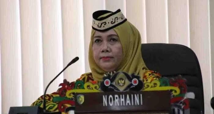 Anggota Komisi B DPRD Kota Palangka Raya, Norhaini.
