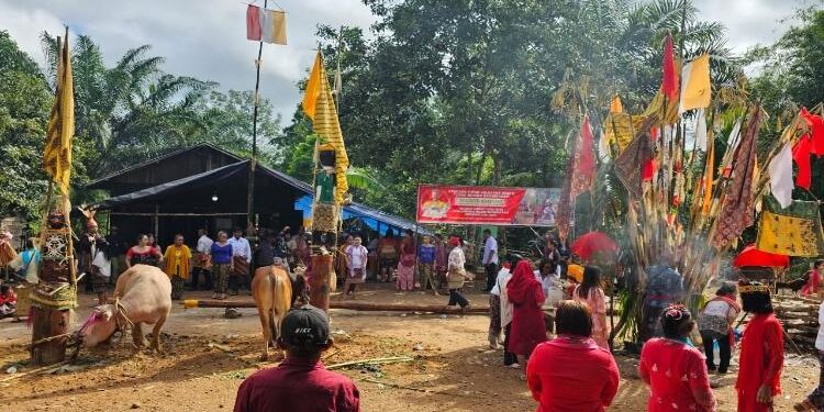 FOTO: IST/MATA KALTENG - Saat kegiatan ritual Tiwah masyarakat Hindu Kaharingan di Desa Pematang, Kecamatan Mentaya Hulu, Kotim, Selasa 2 Mei 2023.
