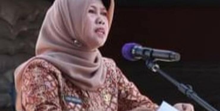 Penjabat (Pj) Bupati  Barito Selatan, Lisda Arriyana