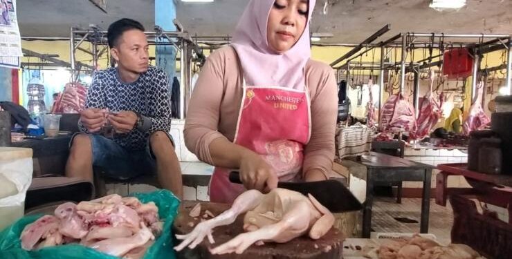 FOTO : DEVIANA/MATAKALTENG - Kiki salah satu pedagang daging ayam potong di PPM Sampit saat melayani pembeli, Senin 29 Mei 2023.