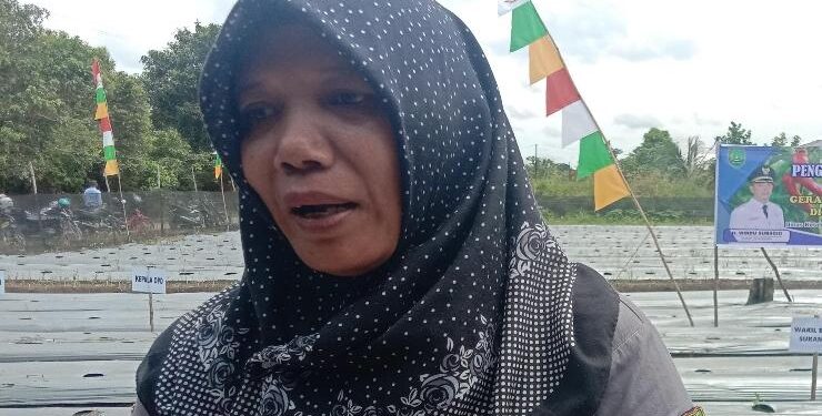Kepala Dinas Ketahanan Pangan dan Pertanian Sukamara Dwi Harsini