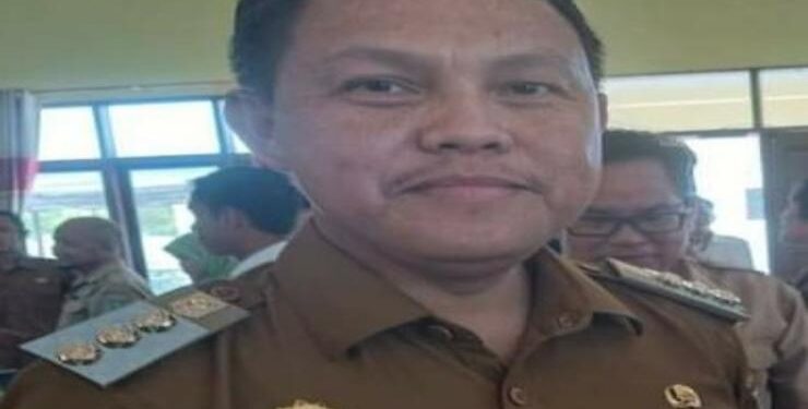 Penjabat Bupati Barito Selatan,  Deddy Winarwan