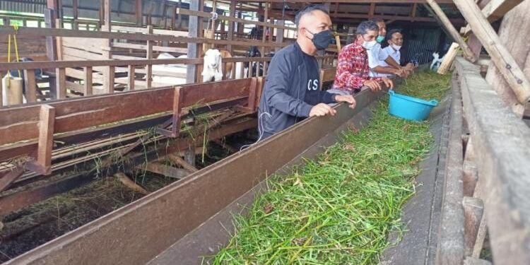 FOTO: DOK. ALDI/MATA KALTENG - Ketua DPRD Seruyan, Zuli Eko Prasetyo saat mengunjungi salah satu peternak di Desa Pematang Panjang, Kecamatan Seruyan Hilir Timur.