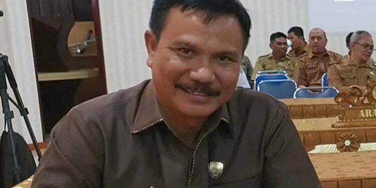 Anggota DPRD Seruyan, Salidin.
