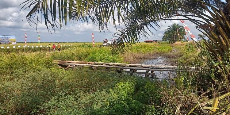FOTO: ALDI SETIAWAN/MATA KALTENG - Kondisi salah satu saluran irigasi yang ada di Desa Pematang Limau, Kecamatan Seruyan Hilir.