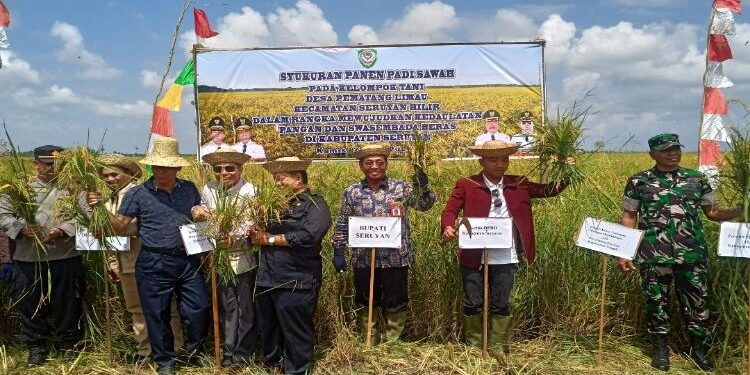 FOTO: ALDI/MATA KALTENG - Staf Ahli Bupati Seruyan, Tunjarsyah (tiga dari kanan) saat mengikuti proses pemotongan padi secara simbolis dalam agenda panen padi Poktan Desa Pematang Limau, Kamis 25 Mei 2023.