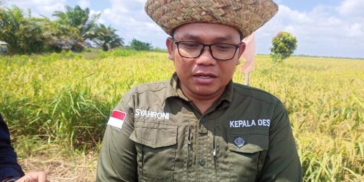 Kepala Desa Pematang Limau, Syahroni.
