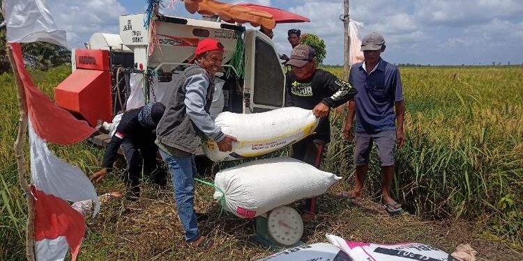 FOTO: ALDI/MATA KALTENG - Sejumlah masyarakat petani saat sedang menimbang hasil panen padi di Desa Pematang Limau, Kecamatan Seruyan Hilir.