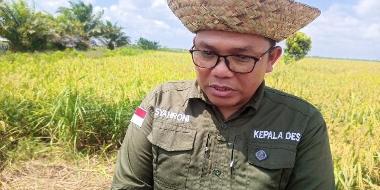 Kades Pematang Limau, Syahroni.