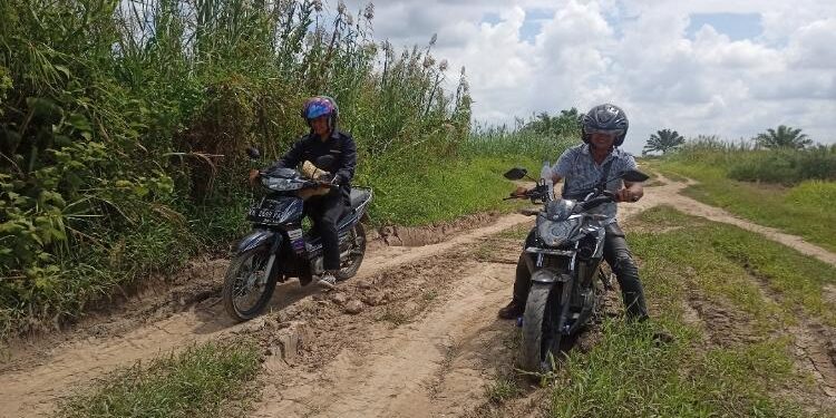 FOTO: ALDI/MATA KALTENG - Kondisi salah satu sudut ruas jalan pertanian yang ada di Desa Pematang Limau, Kecamatan Seruyan Hilir.