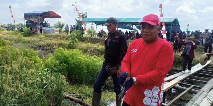 FOTO: ALDI/MATA KALTENG - Kepala DKPP Kabupaten Seruyan, Albidinnor (kanan) saat menghadiri acara syukuran panen padi Pokta Desa Pematang Limau, Kecamatan Seruyan Hilir beberapa waktu lalu.