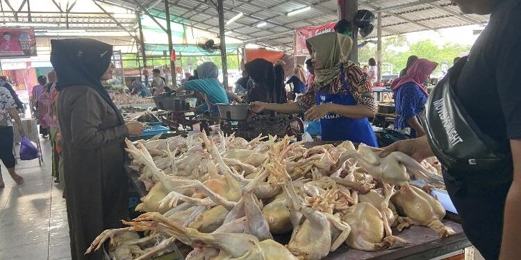 FOTO: DIAN/MATA KALTENG - Pedagang ayam di salah satu pasar tradisional Kota Sampit, Kotim.