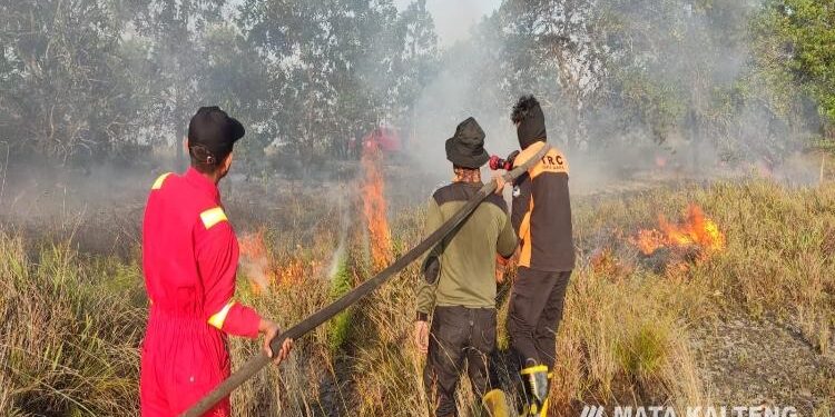 FOTO IST/MAKA - Petugas BPBD Sukamara saat memadamkan api yang membakar lahan.