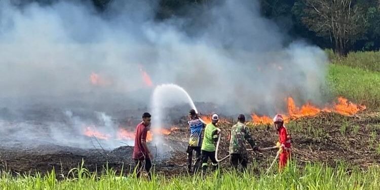 FOTO: HUMAS BPBD/MATAKALTENG - Petugas BPBD Kota Palangka Raya, pada saat memadamkan api beberapa waktu lalu.