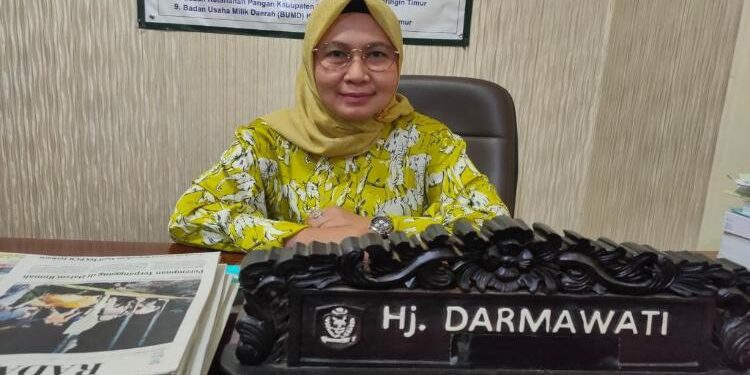 FOTO: MATAKALTENG - Anggota Komisi II DPRD Kotim, Darmawati.