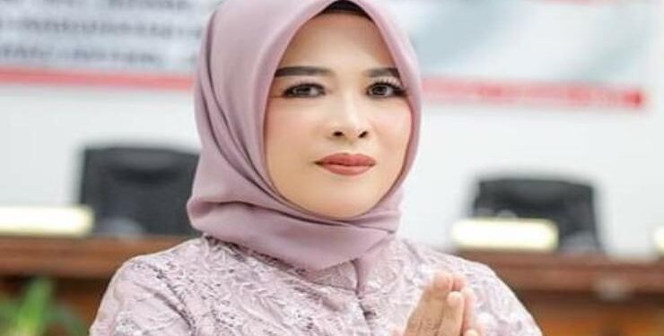 Anggota Komisi II Dewan Perwakilan Rakyat Daerah (DPRD) Barito Selatan Nurul Hikmah