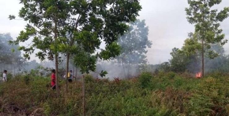 FOTO : DOK/MATAKALTENG - Kebakaran lahan di Kota Sampit, Kabupaten Kotawaringin Timur beberapa waktu lalu.