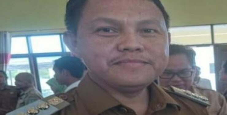 Pj Bupati Barsel Deddy Winarwan