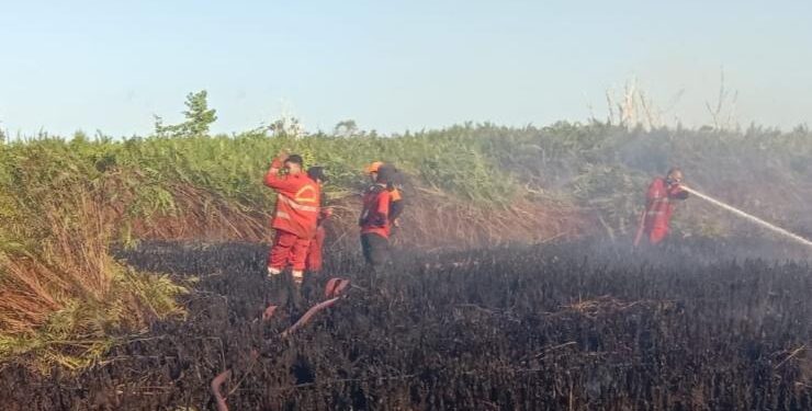 FOTO : IST/MATAKALTENG - Petugas melakukan pemadaman kebakaran lahan