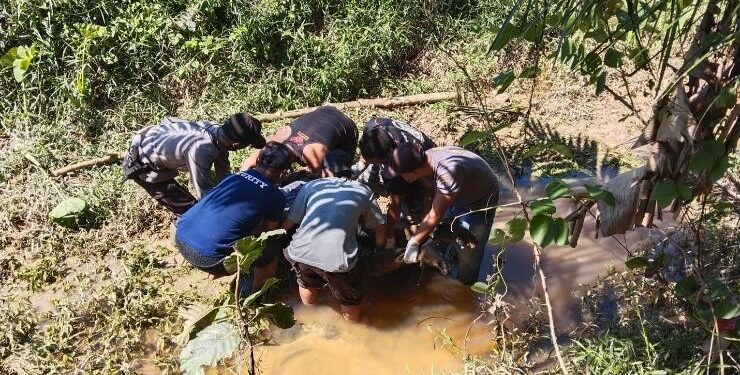 FOTO : IST/MATA KALTENG - Jasad pria saat ditemukan di parit  belakang perumahan warga depan Pabrik PT KMA Selatan, Desa Pemantang, Kelurahan Kuala Kuayan, Kecamatan Mentaya Hulu, Kabupaten Kotim, Minggu, 11 Juni 2023.
