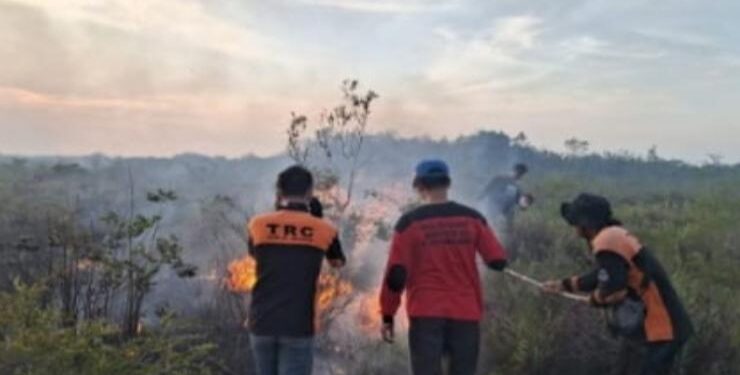 FOTO : IST/MATAKALTENG - Petugas BPBD Sukamara saat melakukan pemadaman karhutla di daerah Padang rumput wilayah pesisir Sukamara.