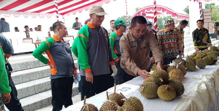 FOTO : AKH/MATAKALTENG - Bupati Sukamara Windu Subagio saat melihat buah durian berkualitas pada kontes Durian Lokal Varietas Unggulan.