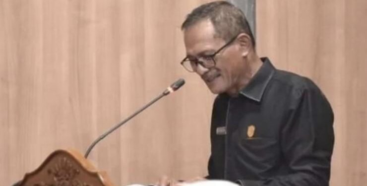Anggota Komisi IV DPRD Kotim, Pardamean Gultom.