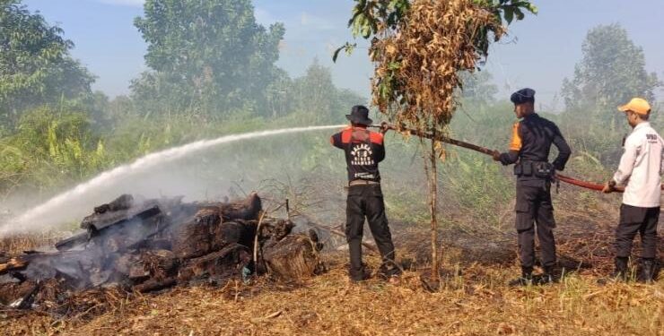 FOTO : DEVIANA/MATAKALTENG - Simulasi penanganan karhutla oleh BPBD Kotim, Kamis 22 Juni 2023.