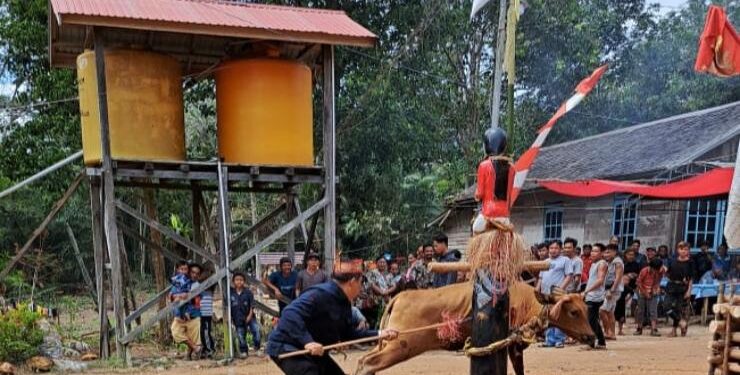 FOTO : IST/MATAKALTENG - Camat Tualan Hulu Admadi Sastra saat mengikuti Ritual Tiwah.