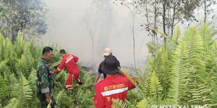 FOTO: AGUS/MATA KALTENG - Petugas sedang berjibaku memadamkan  api dengan menggunakan alat seadanya sambil menunggu mobil tangki air yang ke lokasi, Senin 26 Juni 2023.