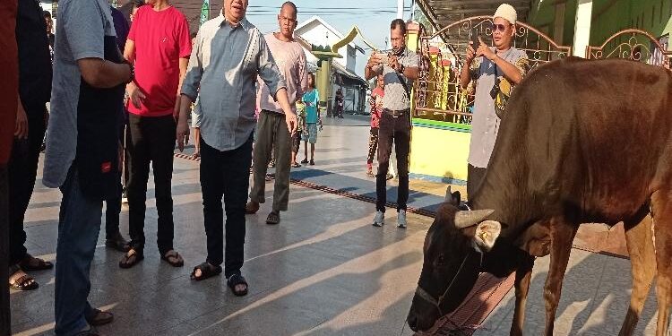 FOTO: DEVIANA/MATAKALTENG - Bupati Kotim, Halikinnor, saat menyerahkan hewan kurban, Selasa 27 Juni 2023.
