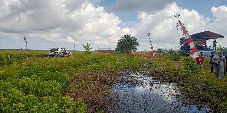 FOTO: ALDI/MATA KALTENG - Kondisi salah satu saluran irigasi pertanian yang ada di Desa Pematang Limau, Kecamatan Seruyan Hilir.