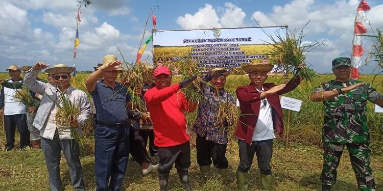 FOTO: ALDI/MATA KALTENG - Kepala DKPP Kabupaten Seruyan, Albidinnor (tiga dari kiri) bersama pihak-pihak terkait saat menghadiri syukuran panen padi di Desa Pematang Limau, Kecamatan Seruyan Hilir beberapa waktu lalu.