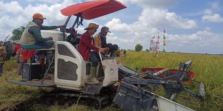 FOTO: ALDI/MATA KALTENG - Ketua DPRD Seruyan, Zuli Eko Prasetyo saat mencoba mengoperasionalkan mesin combine di lahan pertanian masyarakat di Desa Pematang Limau, Kecamatan Seruyan Hilir.