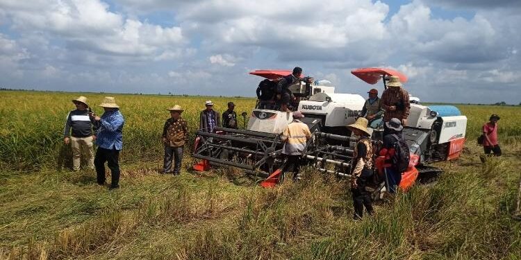 FOTO: ALDI/MATA KALTENG - Mesin combine yang ada di lahan pertanian di Desa Pematang Limau, Kecamatan Seruyan Hilir.