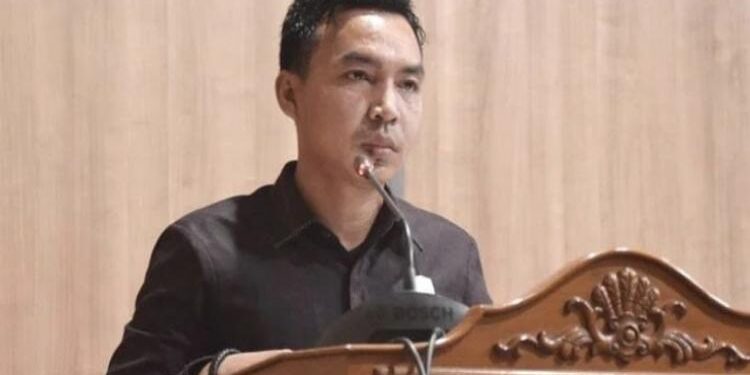 Ketua Fraksi PDI Perjuangan, Paisal Darmasing.