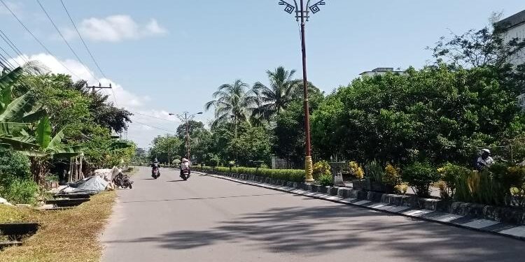 FOTO: PRADILA/MATAKALTENG - Suasana Kota Pulang Pisau yang menampilkan PJU di tengah pembatas jalan.