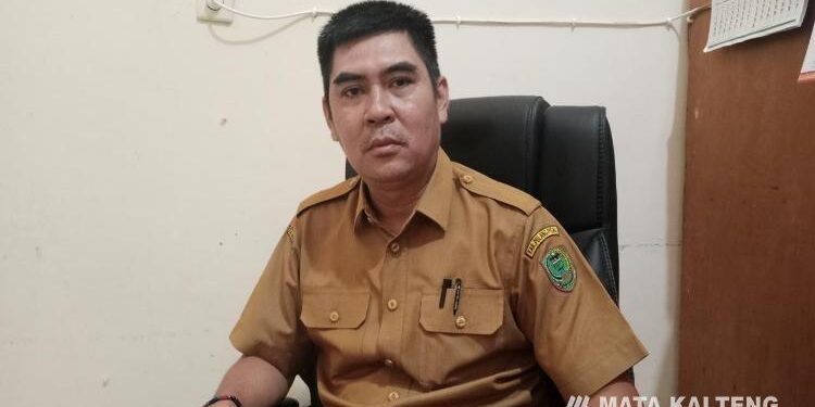 Kepala Bidang UEM DPMD Pulpis, Andrianto.