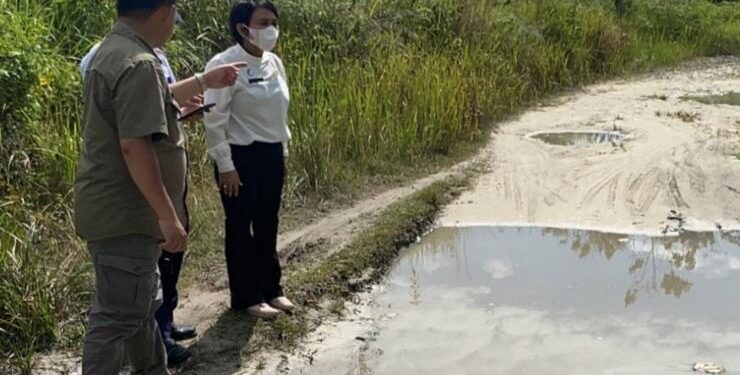 FOTO : Taufik/MATAKALTENG - Pj.Bupati Barsel Deddy Minarwan serta Kadis PUPR Ita Minarni saat meninjau ruas jalan Wungkur Baru-Baruang.