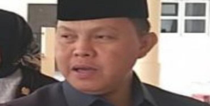 Pj. Bupati Barito Selatan Deddy Minarwan