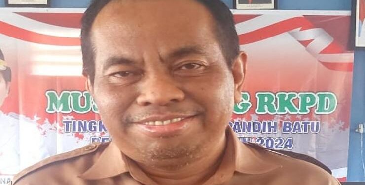 Kepala Dinas Kesehatan Pulang Pisau, dr Pande Putu Gina