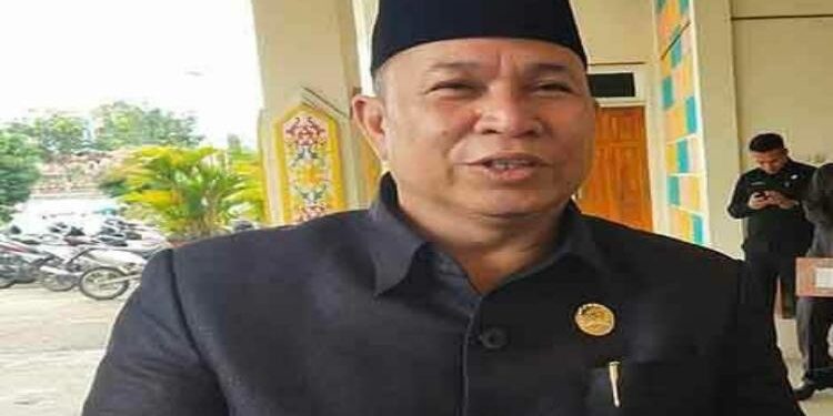 FOTO: MATAKALTENG - Ketua DPRD Murung Raya (Mura), Doni.