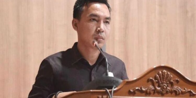 FOTO: MATAKALTENG - Ketua Fraksi PDI Perjuang, Paisal Darmasing.