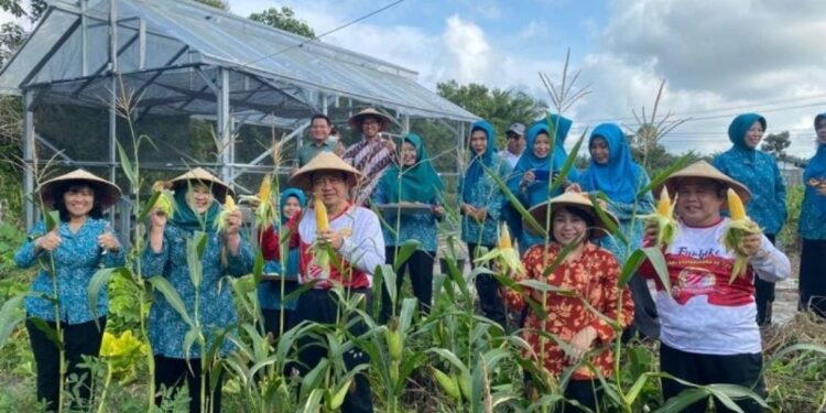 FOTO: IST/MATAKALTENG - Pj Bupati Kobar, Budi Santosa, pada saat meresmikan kebun percontohan yang dikelola TP PKK di Jalan Ahmad Yani, Pangkalan Lada.