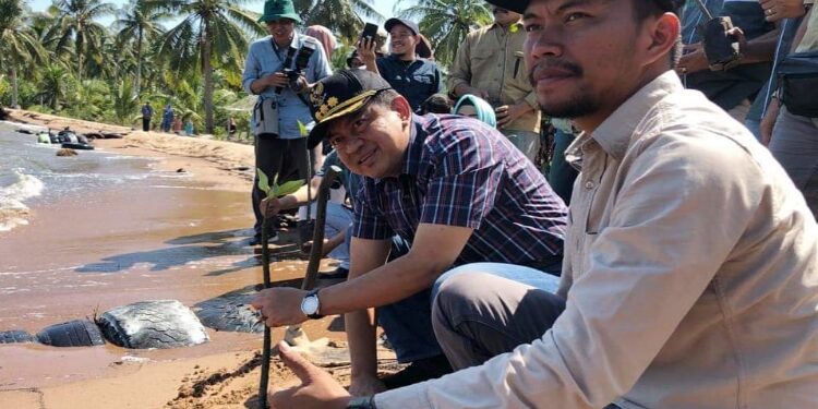 FOTO: IST/MATAKALTENG - Penjabat Bupati Kobar saat menanam mangrove di Desa Sebuai, Kecamatan Kumai.