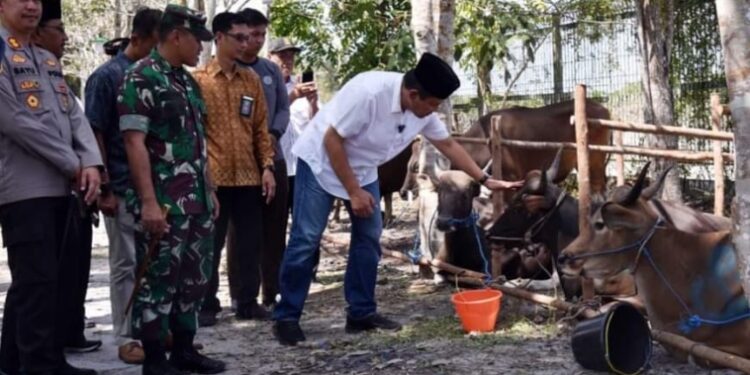 FOTO: IST/MATAKALTENG - Pj Bupati Kobar Budi Santosa menyerahkan secara simbolis hewan kurban kepada masyarakat.