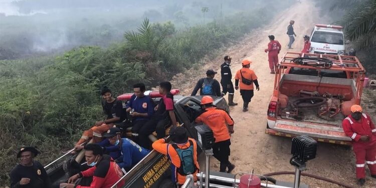 FOTO: IST/MATAKALTENG - Tim Satgas Darat Karhutla saat penanganan Karhutla.