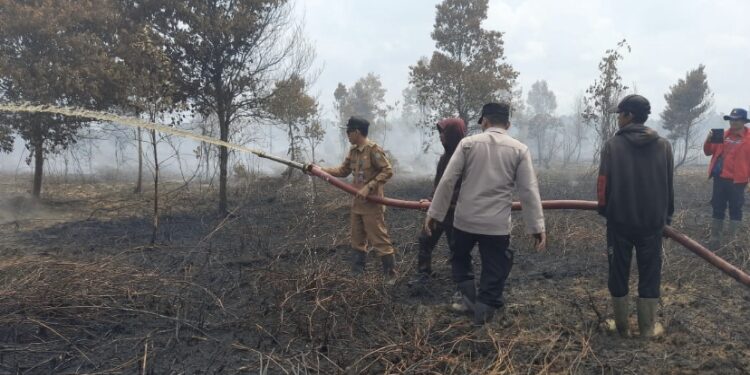 FOTO: KECAMATAN/MATA KALTENG - Pemadaman kebakaran hutan dan lahan yang dilakukan langsung oleh Camat Kota Besi, Kotim di Desa Hanjalipan, Selasa 1 Agustus 2023.